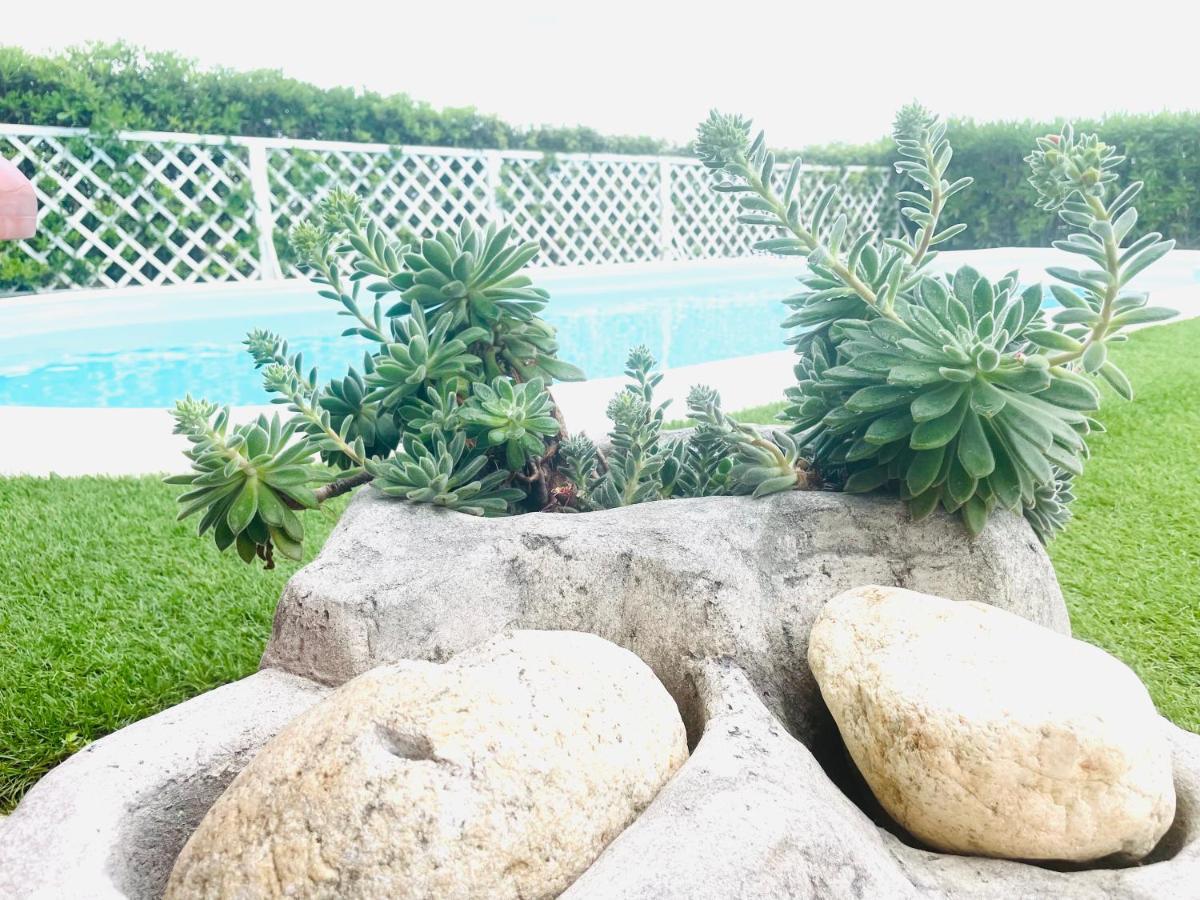 Villa Adel ซาน เตโอโดโร ภายนอก รูปภาพ